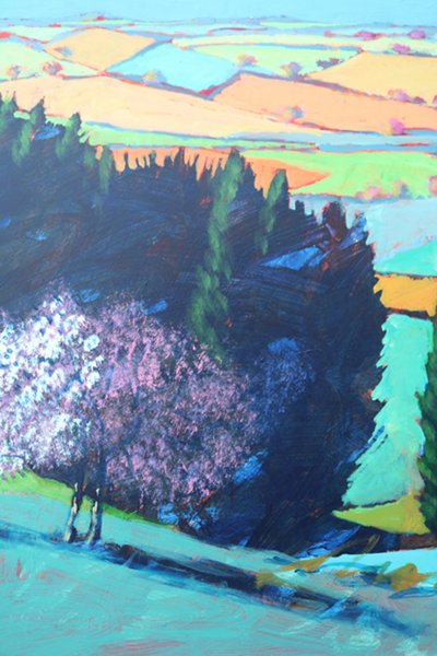 Teme Valley bloesem (detail) door Paul Powis