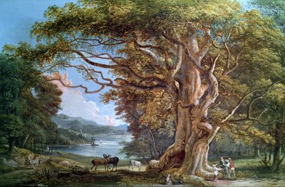 Een oude beuk, 1794 door Paul Sandby