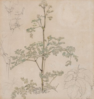  door Paul Sandby