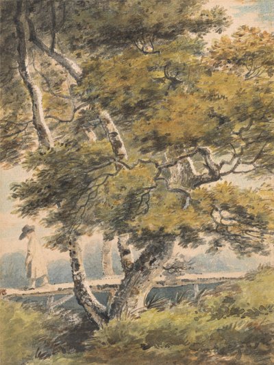  door Paul Sandby