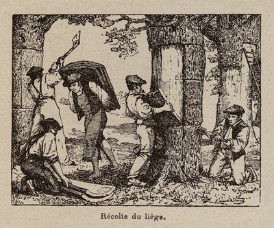  door Paul de Laubadere