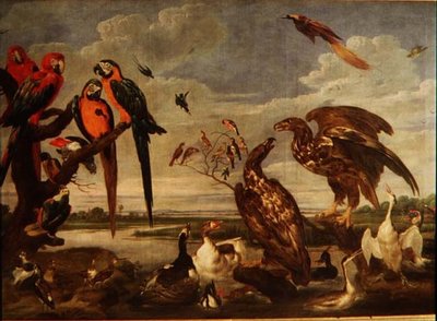 Verscheidenheid aan vogels door Paul De Vos