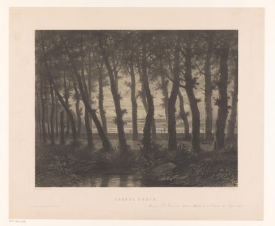 Boslandschap met vliegende vogels door Paulus Lauters