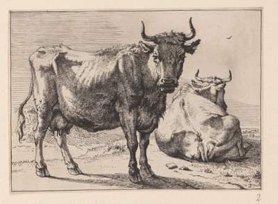 Een staande koe en een liggende koe, van verschillende ossen en koeien door Paulus Potter
