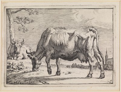  door Paulus Potter