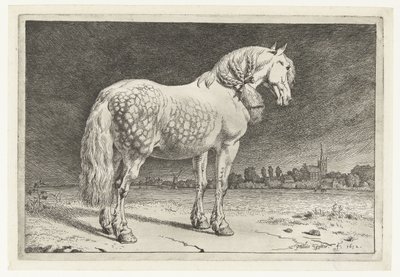 Het Friese paard door Paulus Potter