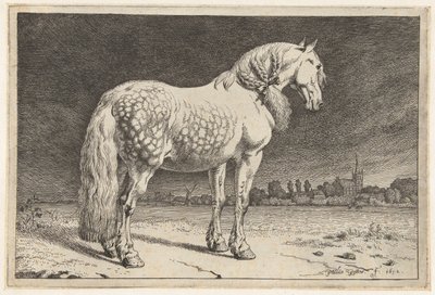 Het Friese paard door Paulus Potter