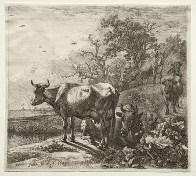 De koeherder door Paulus Potter