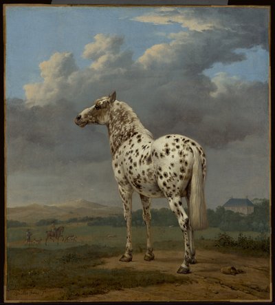 Het bontgekleurde paard, ca. 1650-1654 (Olieverf op doek) door Paulus Potter