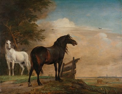 Twee Paarden in een Weide bij een Hek door Paulus Potter