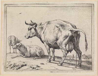  door Paulus Potter