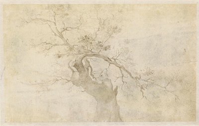 Studie van een knoestige boom door Paulus Willemsz. van Vianen