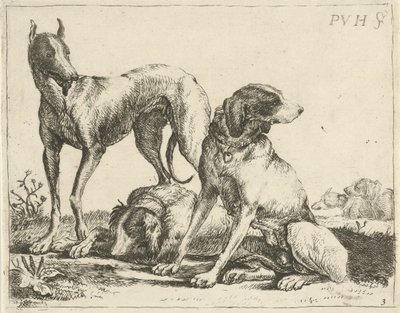 Drie honden door Pauwels van Hillegaert