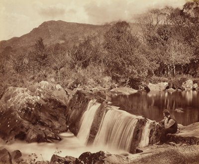 Waterval, County Wicklow,c. 1870 (foto) door Payne Jennings