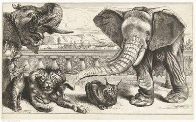 Olifanten, leeuwen en lynxen in de tuinen van Versailles door Peeter Boel (attributed to)