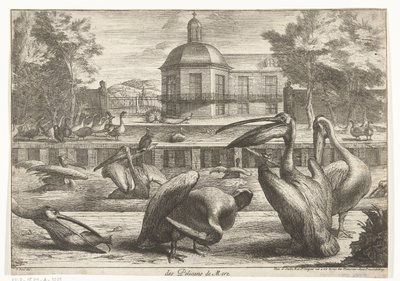 Pelikanen door Peeter Boel (attributed to)