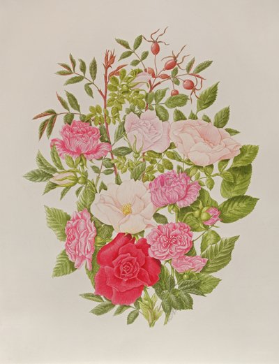Diverse roze rozen (aquarel) door Peggy Wyatt