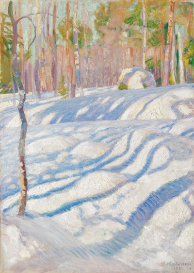  door Pekka Halonen