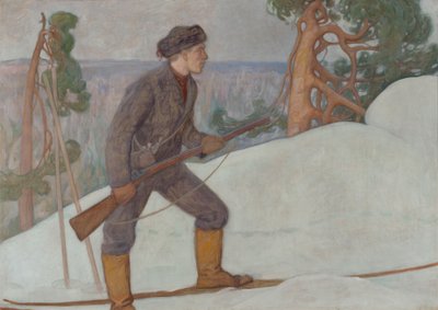  door Pekka Halonen