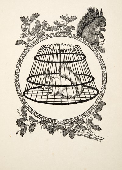 Een vluchteling eekhoorn, uit Honderd anekdotes van dieren, pub. 1924 door Percy J. Billingshurst