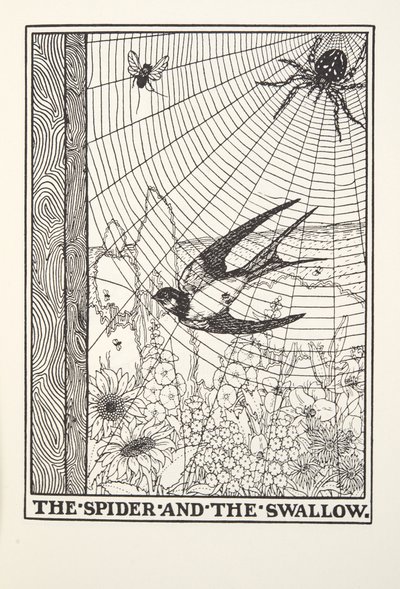 De Spin en de Zwaluw, uit Fontaine Fabels, uitgegeven 1905 door Percy J. Billingshurst