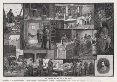 De Schelvis van de Zee naar de Tafel door Percy Robert Craft