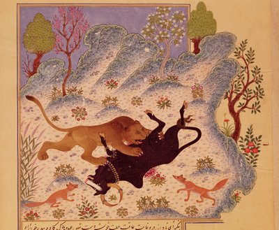 Een leeuw die een stier aanvalt en doodt, uit een Kabila wa Dimna-manuscript door Persian School