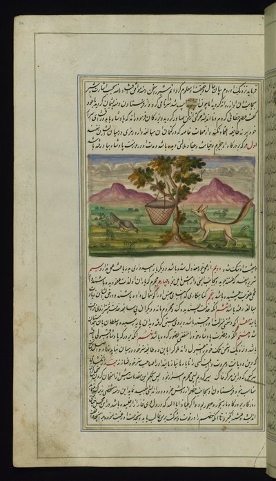 Een vos en een trommel uit Lichten van Canopus door Persian School
