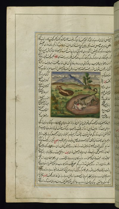 Een jakhals verslindt een haas uit Lichten van Canopus, 1847 door Persian School