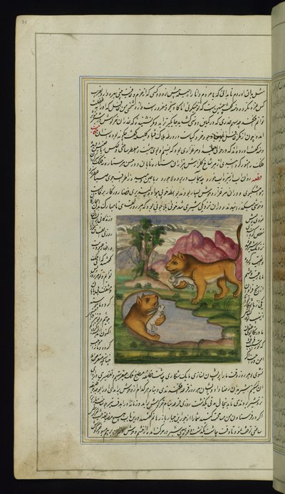 Een boze leeuw, bedrogen door een haas, kijkt in een put en ziet zijn reflectie uit Lichten van Canopus door Persian School