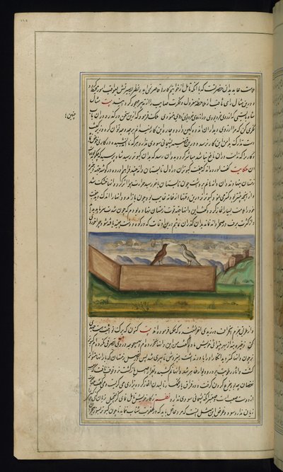 Twee duiven en een voorraad graan uit Lichten van Canopus door Persian School