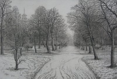 Kew Gardens in Winter door Peter A Ford