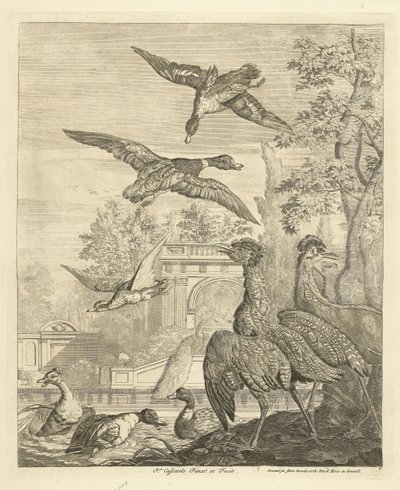 Eenden en reigers bij een vogelvijver door Peter Casteels (III)