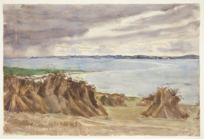 Rug in draf. Katterød rev. Op de achtergrond Bjørnø door Peter Hansen