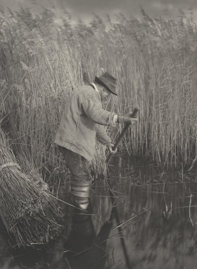 Een Rietsnijder aan het Werk, 1886 door Peter Henry Emerson, Thomas Frederick Goodall