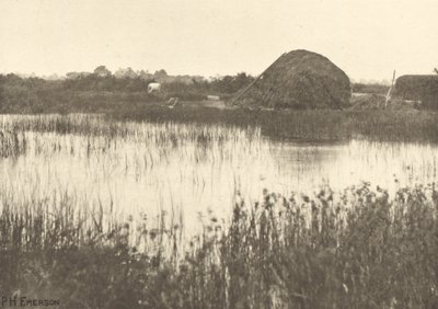 Herfst Overstromingen door Peter Henry Emerson