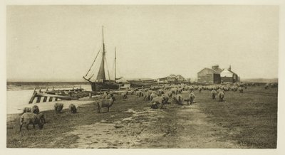 Blackshore, River Blythe (Suffolk) door Peter Henry Emerson