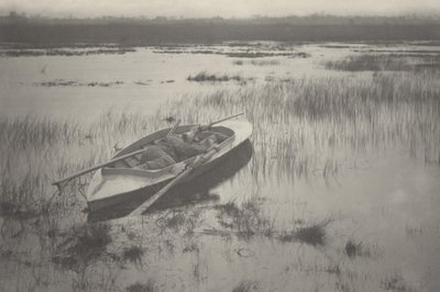 Kanonnier aan het werk tot vogel,1886 (foto) door Peter Henry Emerson