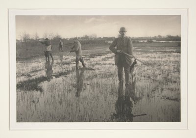 Mannen jagen in een moeras door Peter Henry Emerson