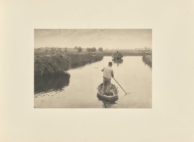 Het moerashooi kwantificeren door Peter Henry Emerson