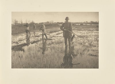  door Peter Henry Emerson