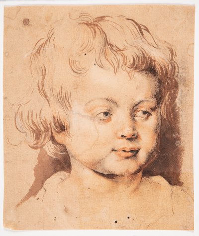 door Peter Paul Rubens