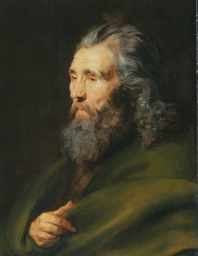Hoofdstudie van een bebaarde man, ca. 1617 door Peter Paul Rubens