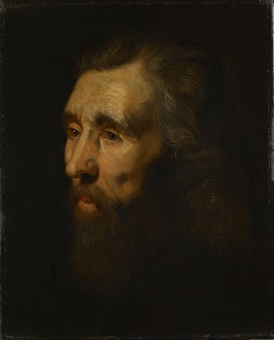  door Peter Paul Rubens