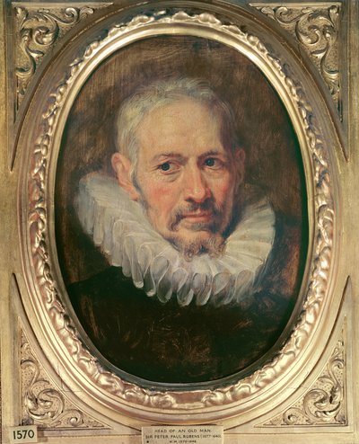 Hoofd van een oude man door Peter Paul Rubens