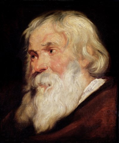 Hoofd van een oude man door Peter Paul Rubens