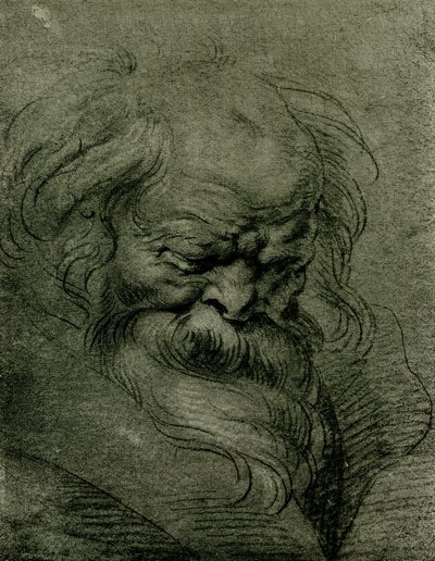 Hoofdstudie voor Bacchus door Peter Paul Rubens