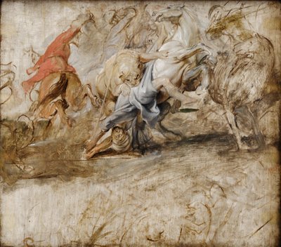  door Peter Paul Rubens