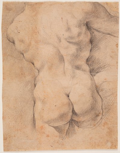 Mannelijke torso van achteren gezien door Peter Paul Rubens