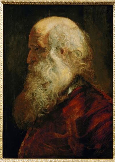 Studiekop van een oude man door Peter Paul Rubens